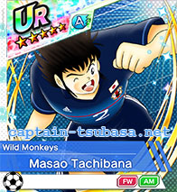 Masao Tachibana - Wild Monkeys